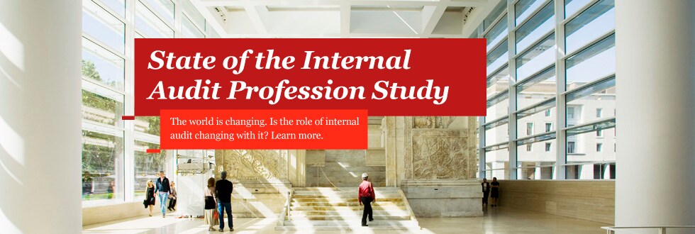 2012 State of the internal audit profession study