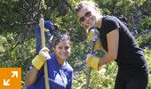 Planting Trees during Green Week