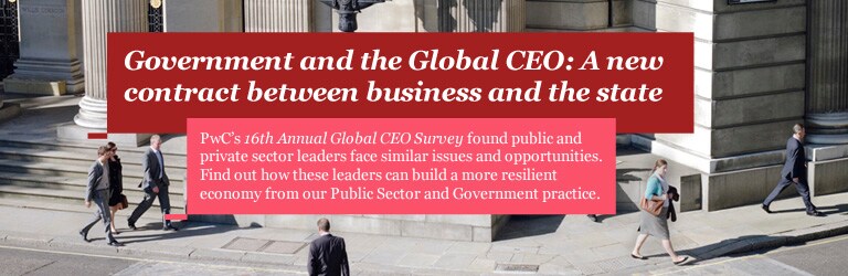Government and the Global CEO