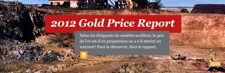 2012 Global Gold Price Report