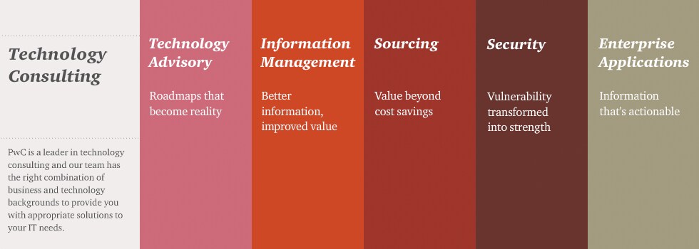 Technology Consulting