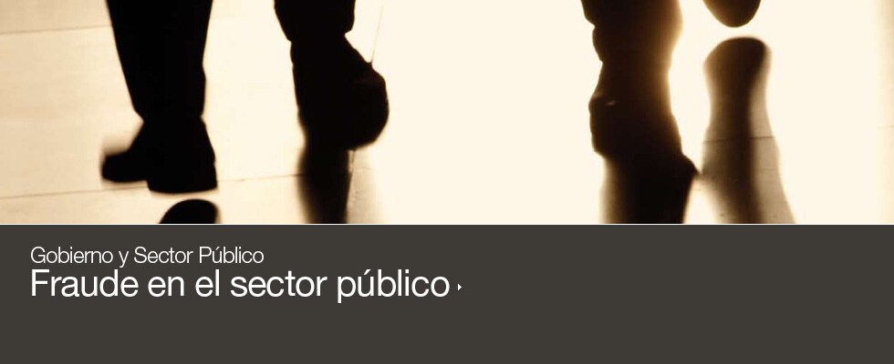 fraude en el sector publico
