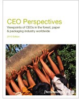CEO Perspectives