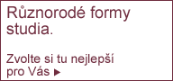 Různorodé formy studia