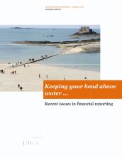 Financial Reporting Release, January 2012