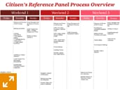 Citizens’ Reference Panel process