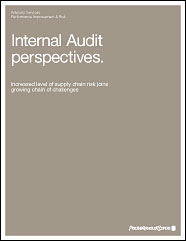 Internal Audit Perspectives