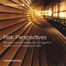 risk perspectives