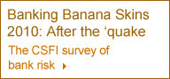 Banking banana skins 2010