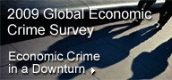2009 Global Economic Crime Survey