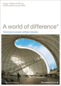 A world of difference: 2008 Utilities global survey