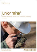 Junior mine 2008: Review of trends in the TSX-V mining industry - PwC Canada 
