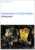 Monetisation of coal assets: Briefing paper 