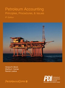 Accounting principles procedures and issues