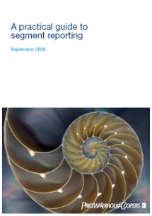 A practical guide to segment reporting