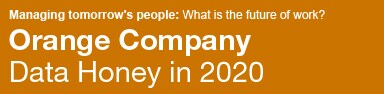 big_orange_company