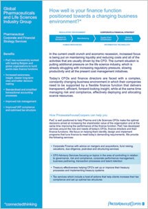 Corporate and Financial Strategy Services