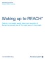 Waking up to REACH: Global companies weigh risks and rewards of Europe’s newest law on the safe use of chemicals