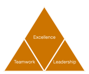 Our values
