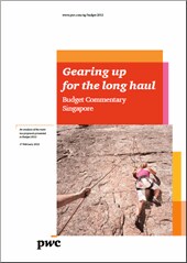 Budget Commentary