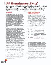 Domestic SIFIs: resolution plan requirements final rule