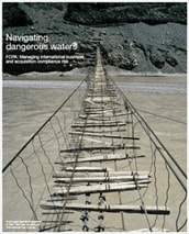 Managing international business and acquisition compliance risk