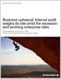2009 State of the internal audit profession study