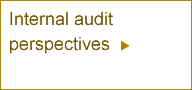 Internal audit perspectives