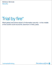 Trial by fire: What global executives expect of information security