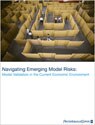 Navigating emerging model risks