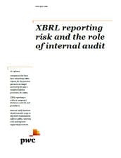 XBRL reporting risk and the role of internal audit