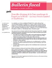 Bulletin fiscal : Nouvelles décisions de la Cour canadienne de l’impôt sur la RGAE – 1207192 Ontario Limited et Triad Gestco
