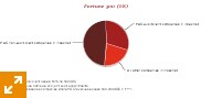 Global Annual Review 2011: Global and regional client bases: Fortune 500 (US)