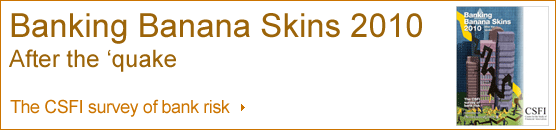 Banking banana skins 2010
