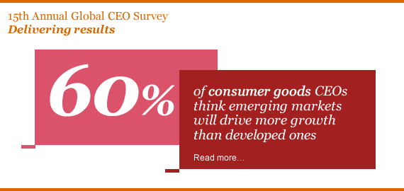 CEO Survey