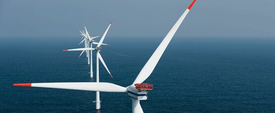 Sustainability reporting