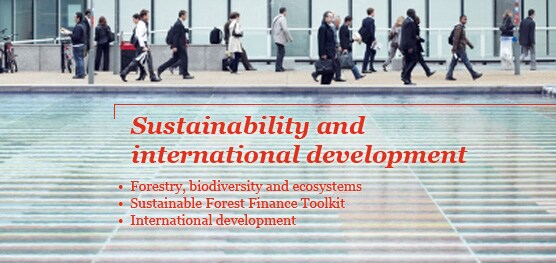 Sustainability and international development 
