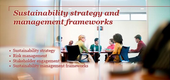 Sustainability strategy and management frameworks 