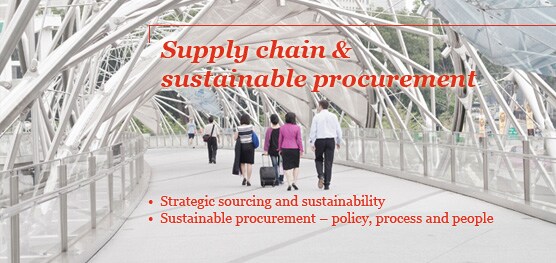 Supply chain and sustainable procurement 