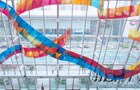 Global equity incentives survey
