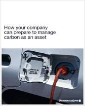 How your company can prepare to manage carbon as an asset