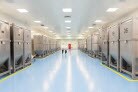 Shale Gas: a renaissance in US manufacturing?