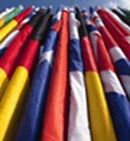 The Talent Management Report