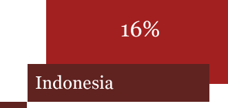 Indonesia 16%