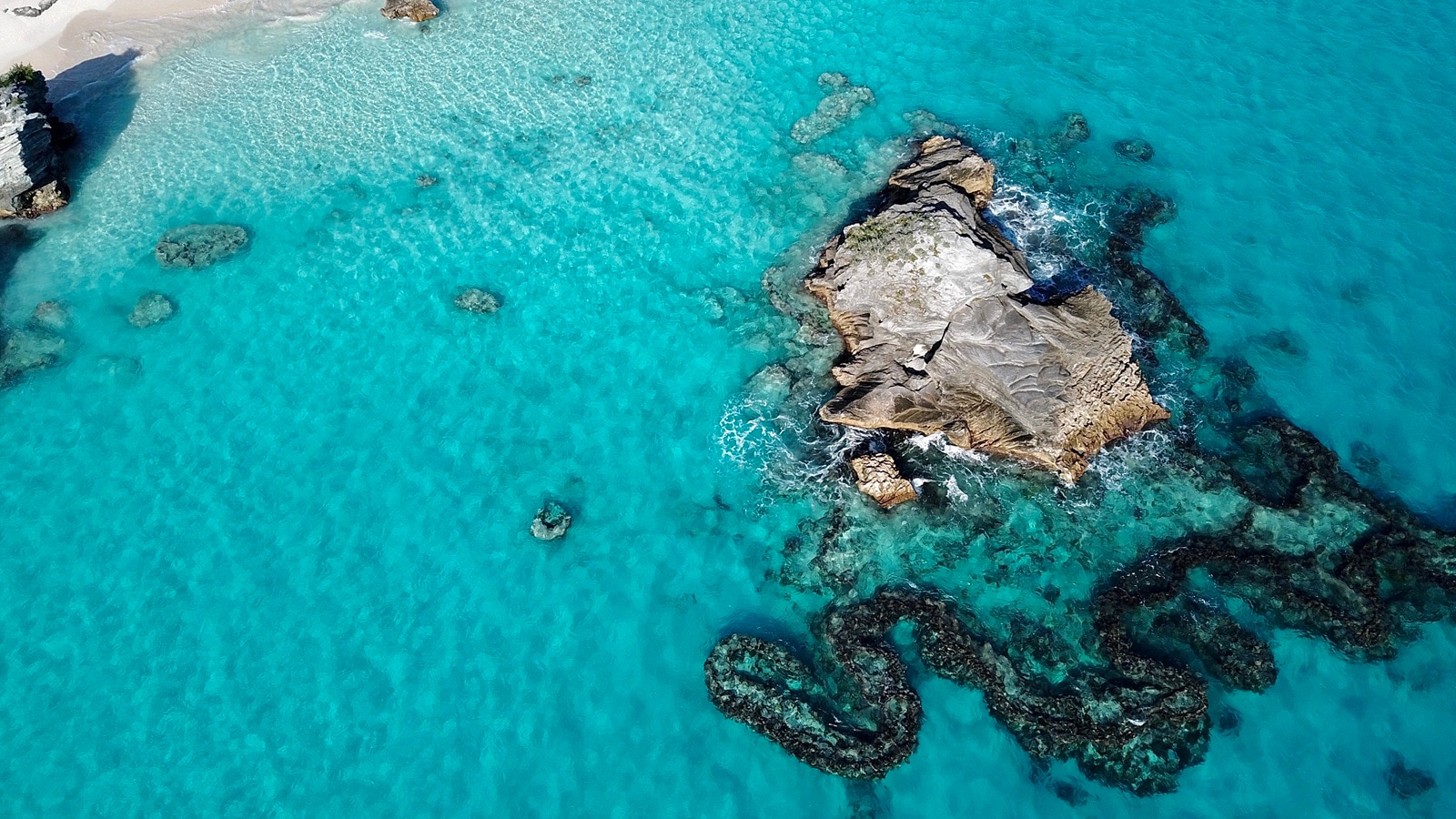 Reefs in the sea