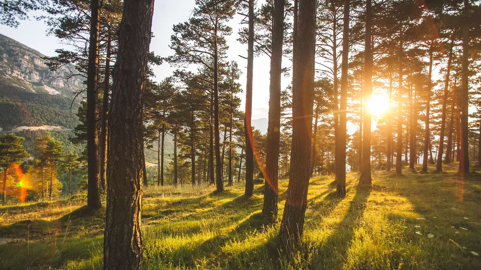 Sustainability regulations