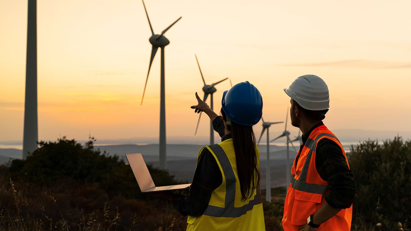 Visualizando tres mañanas 