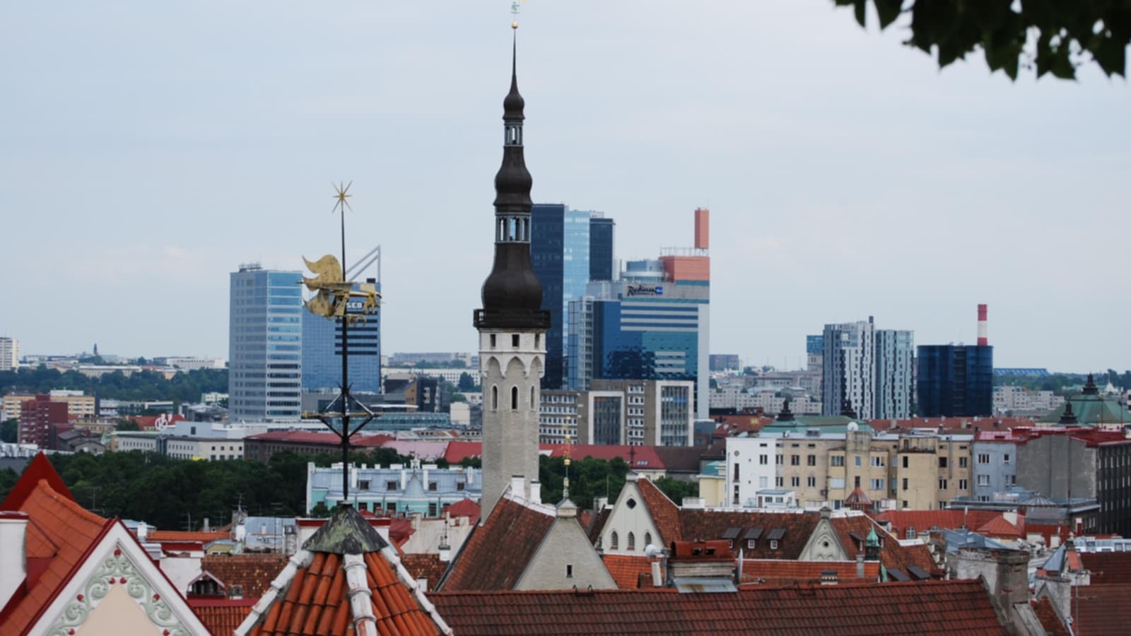 A view of Tallinn'c business centre from the Old Town, with historical spires in the foreground