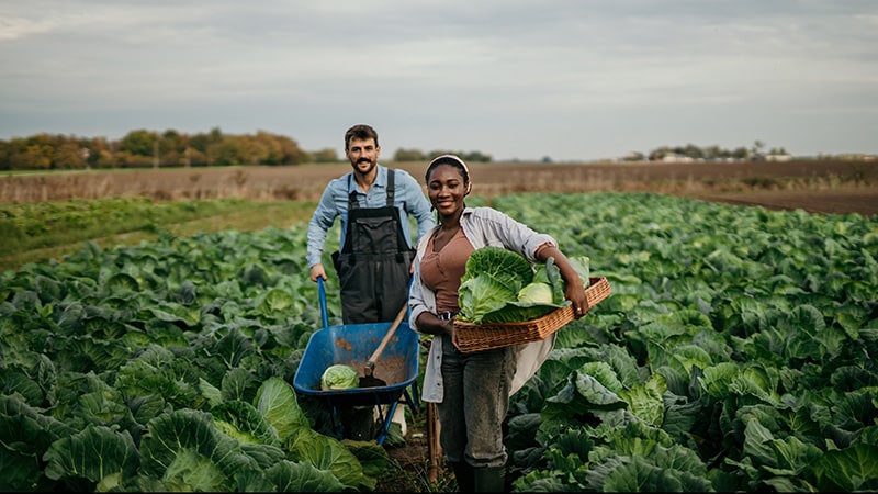 Agricultural market trends as of September 2022