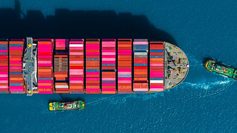 Restrições quantitativas temporárias à importação